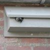  Woodstone® Swift façade nest box