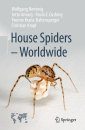 House Spiders - Worldwide