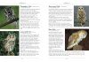 A Naturalist's Guide to the Birds of Britain and Northern Europe