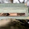 Chambord Wooden Bat Box