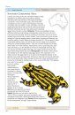 Cronin's Key Guide to Australian Reptiles and Frogs