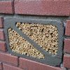 Woodstone® Insect block