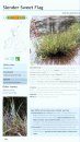 Field Guide to Invasive Plants & Animals in Britain