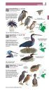 Field Guide to the Birds of Colombia