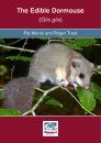 The Edible Dormouse (Glis glis)