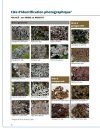 Lichens du Québec Nordique [Lichens of Northern Quebec]