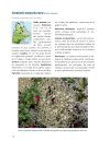 Lichens du Québec Nordique [Lichens of Northern Quebec]