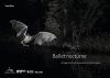 Ballet Nocturne: Un Regard sur les Chauves-Souris de l’Arc Jurassien [Nocturnal Ballet: A Look at the Bats of the Jura Arc]