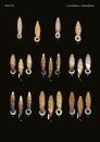 The Conchological Albums - Terrestrial Molluscs, Volume 15