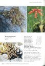 Guide to the Succulent Plants of South-West Madagascar / Guide des Plantes Succulentes du Sud-Ouest de Madagascar