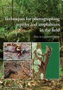 Techniques for Photographing Reptiles and Amphibians in the Field