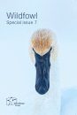 Wildfowl Special Issue 7
