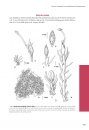 Flora of Cambodia, Laos and Vietnam, Volume 37 [Faune et Flore Tropicales, Volume 52]