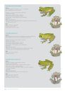 Atlas des Amphibiens de Guyane [Handbook of Amphibians of French Guiana]