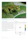 Atlas des Amphibiens de Guyane [Handbook of Amphibians of French Guiana]