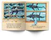 Mary Anning and the Girl Who Really Really Loves Fossils