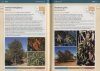 Field Guide to the Plants of Outback South Australia