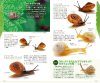The Handbook of Land Snails [Japanese]