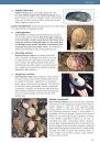 Plant Guide: Geology, Achaeology, Tide Pools, Reptiles, Birds, and Mammals, Channel Islands, California