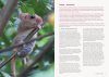 Hazel Dormouse Conservation Handbook