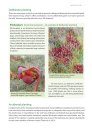 Identification Guide to the Non-Native Invasive Plants of Britain and Ireland