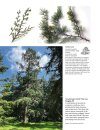 Trees of North America, Europe, the UK & Ireland