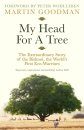 My Head for a Tree