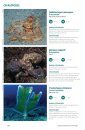 Espécies Marinhas de Portugal [Marine Species of Portugal]