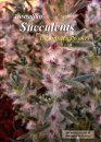 Australian Succulents