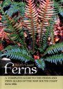 South Coast Ferns