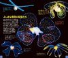 Purankuton: Kurage Mijinko Chīsana Mizu no Seibutsu [Plankton: Jellyfish, Daphnia, and Small Water Creatures]