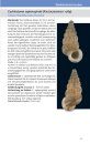 Die Landschnecken Deutschlands: Finden – Erkennen – Bestimmen [The Land Snails of Germany: Finding – Recognizing – Identifying]