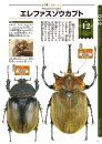 Sekai no Kabutomushi Besuto 100 [The Definitive Rankind of Beetles, Best 100]