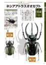 Sekai no Kabutomushi Besuto 100 [The Definitive Rankind of Beetles, Best 100]