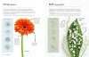 The Kew Book of Drawing Flowers