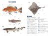 Nihon no Shinkaigyo Zukan [Deep-Sea Fishes of Japan]