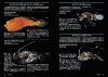 Nihon no Shinkaigyo Zukan [Deep-Sea Fishes of Japan]