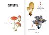 Fungi Decoded