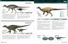 The Princeton Encyclopedia of Dinosaurs: Ornithischians