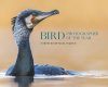 Bird Photographer of the Year, Collection 10