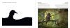 Bird Photographer of the Year, Collection 10