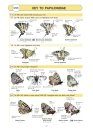 Butterflies of Britain and Western Europe and Their Caterpillars