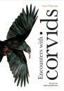 Encounters with Corvids