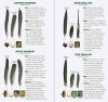 Bird Feathers & Eggs of the Midwest