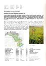 The Special Plants of East Perthshire