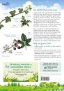 FSC Discovery Guide: Trees and Shrubs