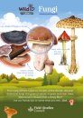 FSC Discovery Guide: Fungi