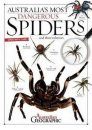 Australia's Most Dangerous Spiders