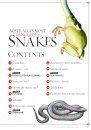 Australia's Most Dangerous Snakes