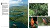 Australian Geographic: Tropical Queensland & The Great Barrier Reef